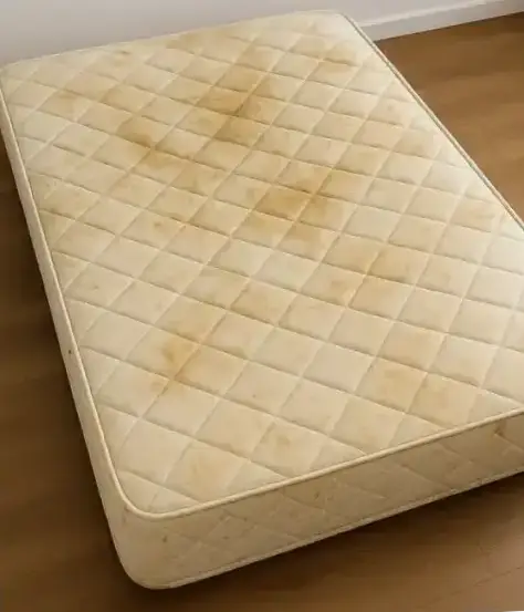 Przed czyszczeniem – zabrudzenia na tapicerce